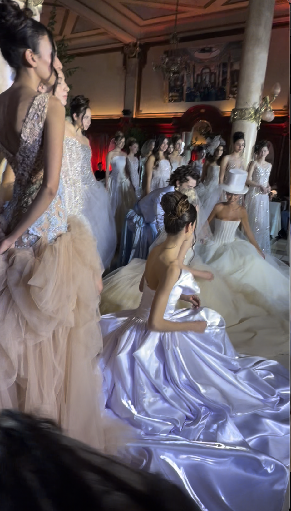 La colección completa — todas las modelos en escena